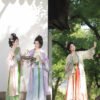 【Flower Gathering】Song Dynasty Style Front-Closure Hanfu Women's Intricately Embroidered Long Robe - New Original Ensemble