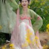 [Chang'an Blossom] Original Tang Dynasty-inspired embroidered reconstruction-style qixiong skirt, Tang-style summer attire